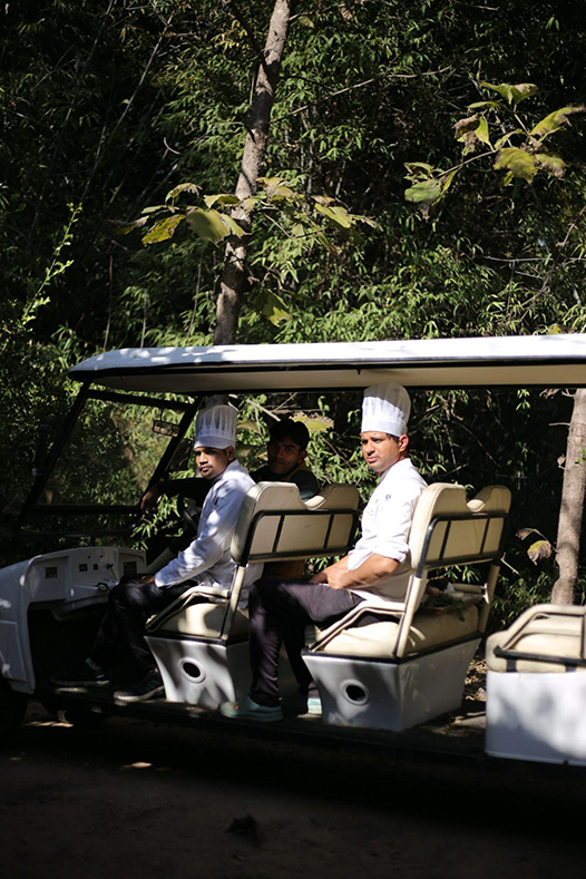 Holistic Wellness Experiences You Need to Book in 2024-Image 3
