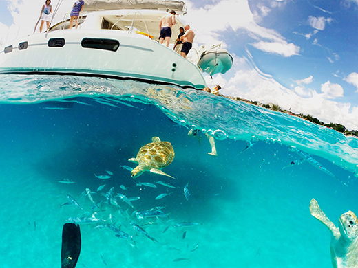 In Barbados for the T20 World Cup Final Here is What you Need to Explore-Image 2