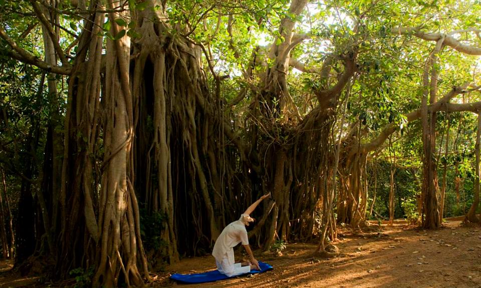 This Monsoon, Boost Your Immunity With These Asanas and Breathing Exercises-Image 2