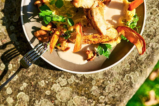 This is How you Explore Germany’s Greenest City in 24 hours-Image 5