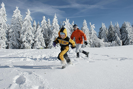 This is How you Explore Germany’s Greenest City in 24 hours-Image 6