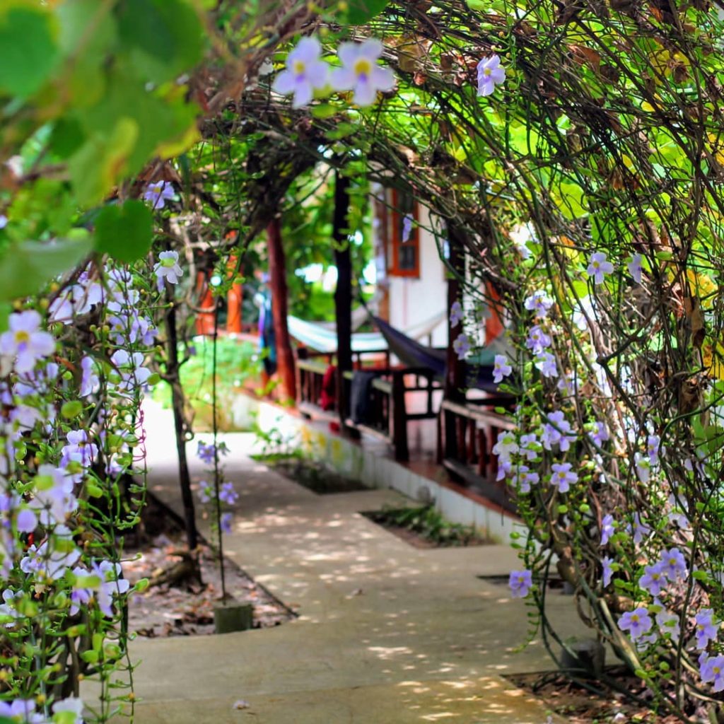 Ananda Yoga and Detox center, Thailand
