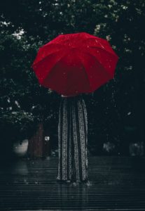 pexels2