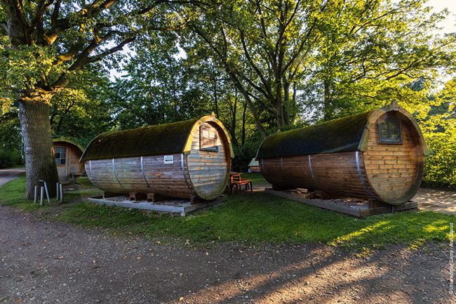 A Complete Guide to Travelling Sustainably in Germany-Image 3