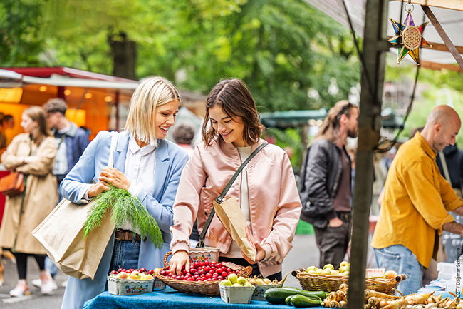 A Complete Guide to Travelling Sustainably in Germany-Image 5