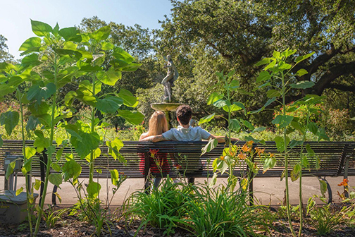 A Weekend of Romance at New Orleans-Image 3