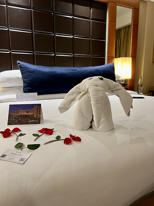 Living the Life at Radisson Blu Plaza Delhi Airport-Image 4