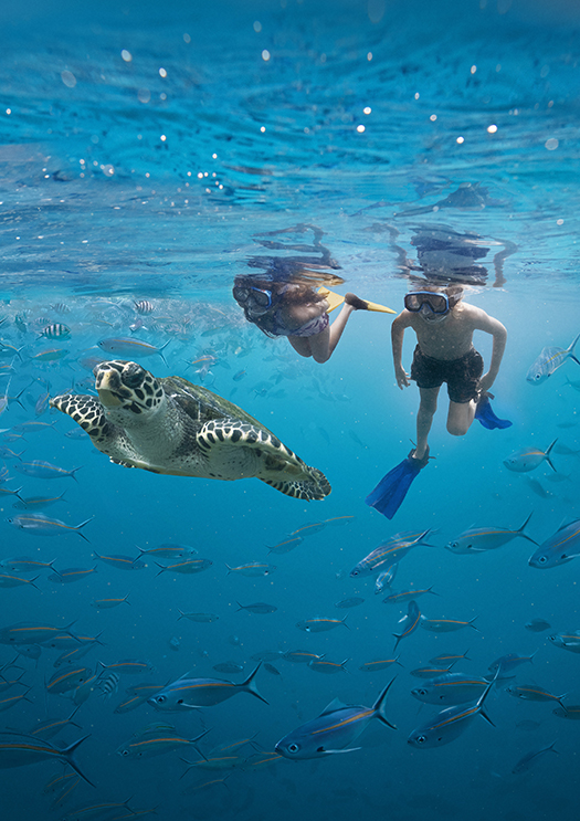 The Love of Blue at Fiji-Image 3