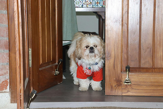 An Enchating Rural Retreat In Delhi NCR-Image 4