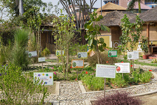 An Enchating Rural Retreat In Delhi NCR-Image 5