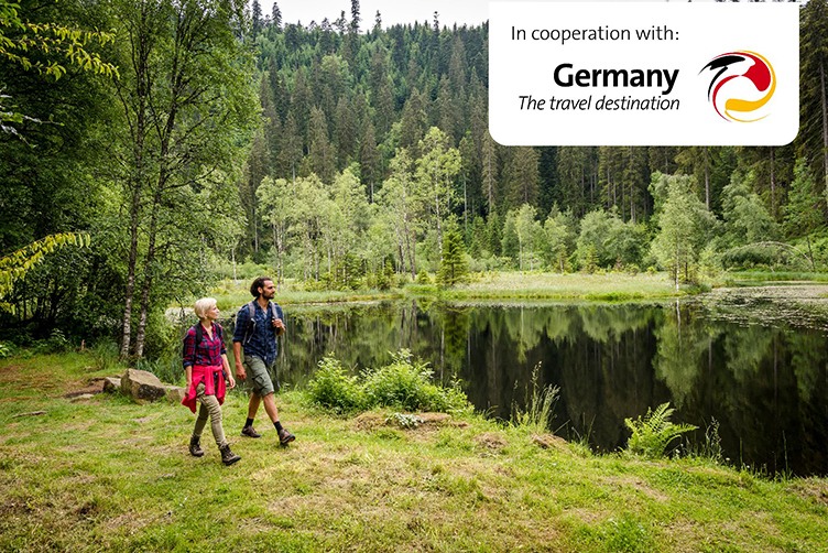 Why Germany Is the Best Place for Forest Bathing — And How It Brings You Closer to Nature