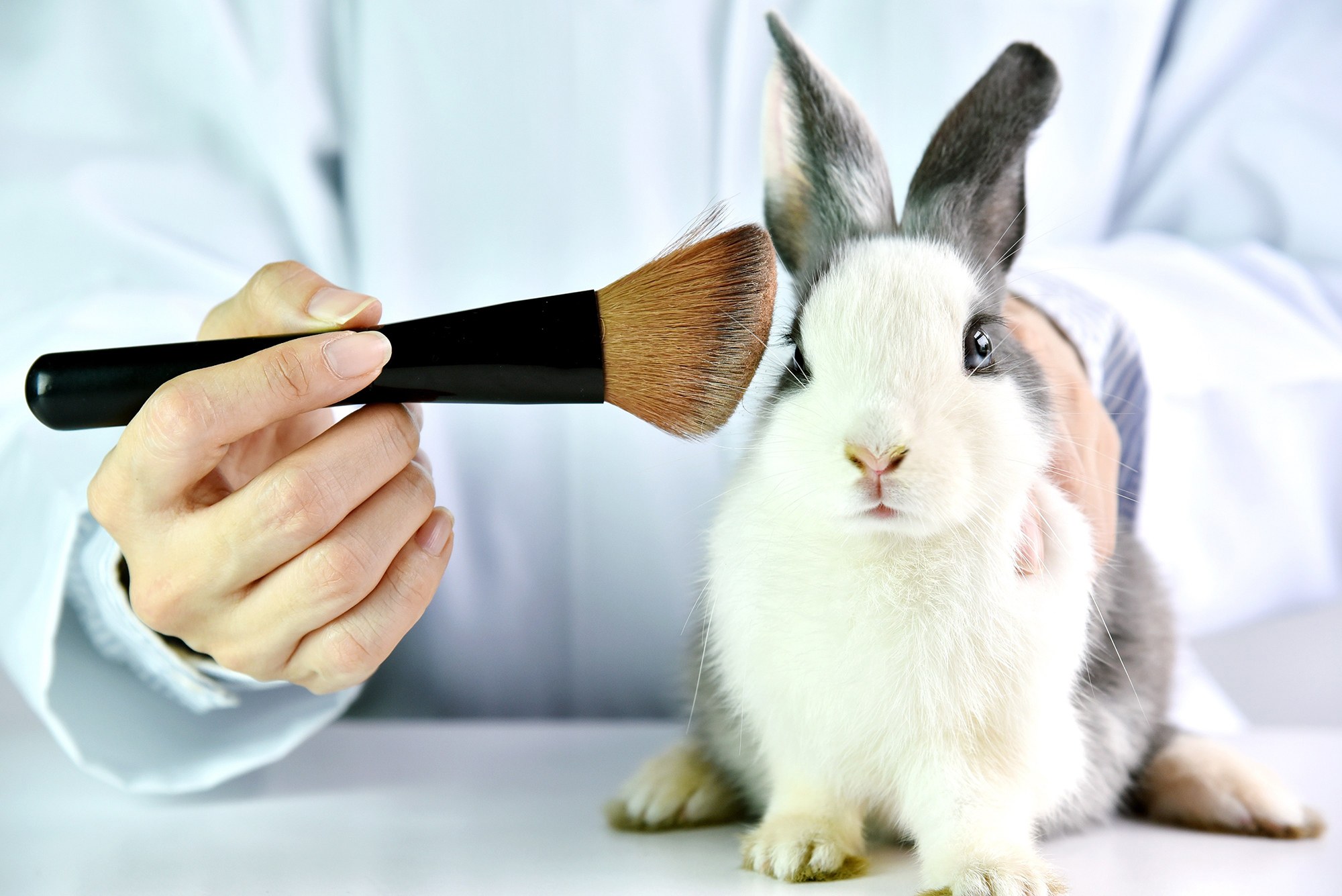 cruelty-free-beauty-products