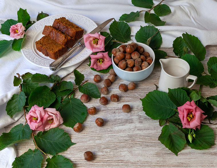 Energise Your Morning with the Nutty Delight of Hazelnuts in Your Breakfast-Cover Image
