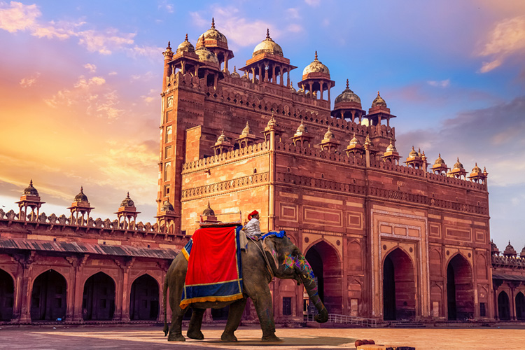 Witness the Best of India with its Diverse Landscapes, Heritage, and Cuisine-Cover Image