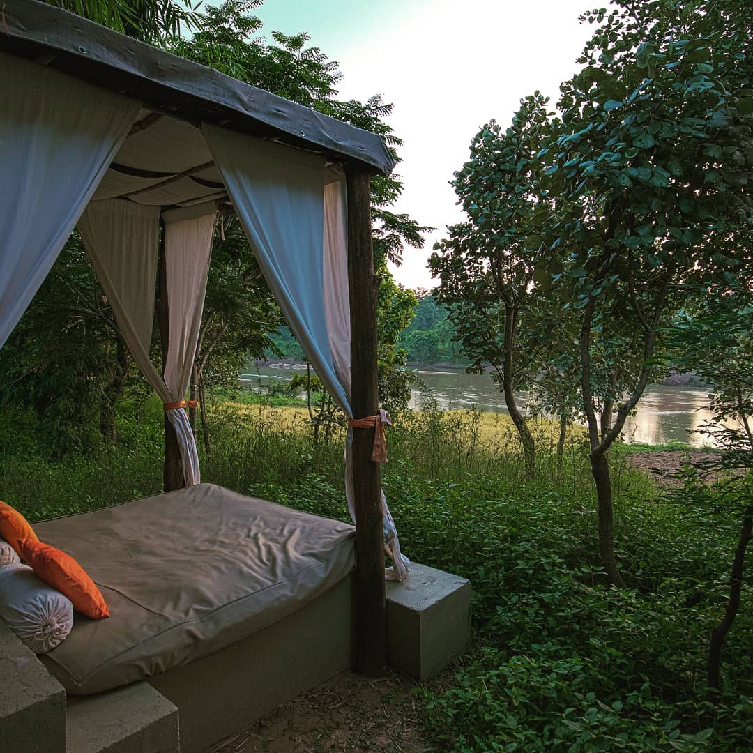 Reconnect with Nature's Harmony at the Flame of the Forest Safari Lodge-Cover Image